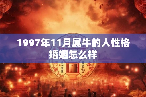 1997年11月属牛的人性格婚姻怎么样