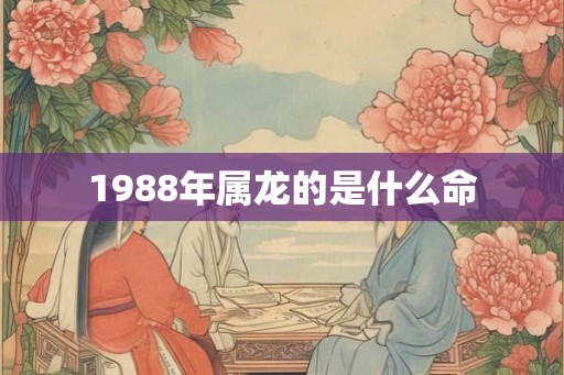 1988年属龙的是什么命
