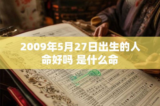2009年5月27日出生的人命好吗 是什么命