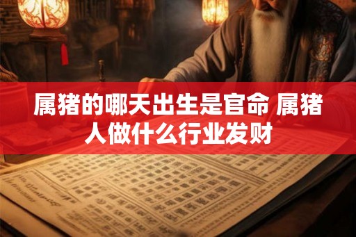 属猪的哪天出生是官命 属猪人做什么行业发财