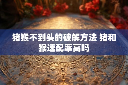 猪猴不到头的破解方法 猪和猴速配率高吗