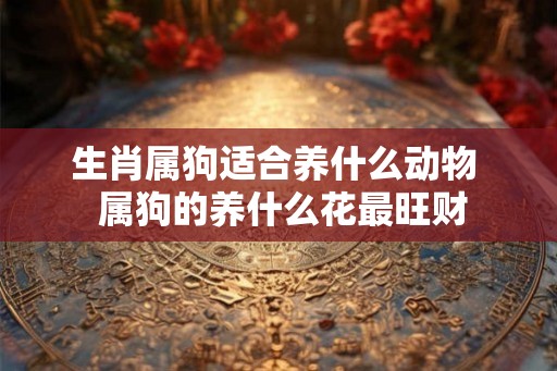 生肖属狗适合养什么动物  属狗的养什么花最旺财