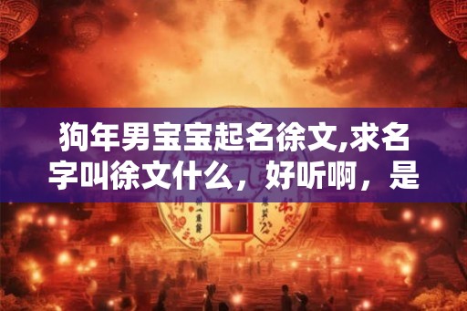 狗年男宝宝起名徐文,求名字叫徐文什么，好听啊，是个男孩