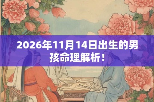 2026年11月14日出生的男孩命理解析！