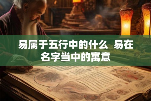 易属于五行中的什么  易在名字当中的寓意
