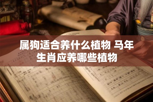 属狗适合养什么植物 马年生肖应养哪些植物