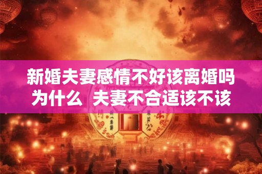新婚夫妻感情不好该离婚吗为什么 夫妻不合适该不该离婚 新婚夫妻感情不好该离婚吗为什么 夫妻不合适该不该离婚