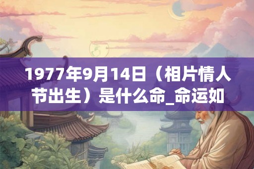 1977年9月14日（相片情人节出生）是什么命_命运如何