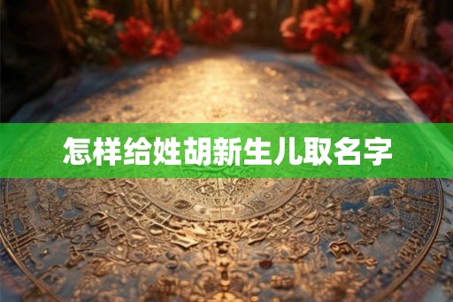 怎样给姓胡新生儿取名字
