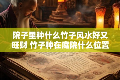 院子里种什么竹子风水好又旺财 竹子种在庭院什么位置