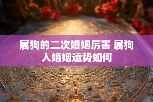 属狗的二次婚姻厉害 属狗人婚姻运势如何