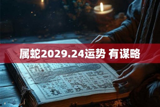 属蛇2029.24运势 有谋略