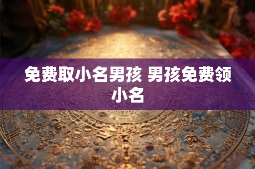免费取小名男孩 男孩免费领小名