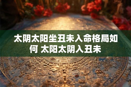 太阴太阳坐丑未入命格局如何 太阳太阴入丑未