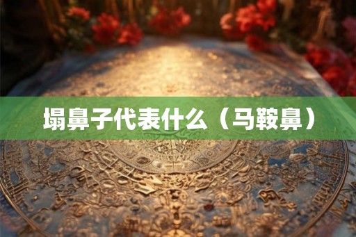 塌鼻子代表什么(马鞍鼻) 塌鼻子代表什么(马鞍鼻)
