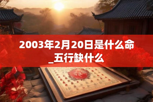 2003年2月20日是什么命_五行缺什么
