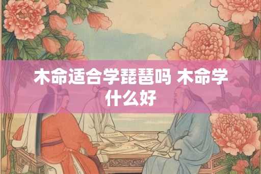 木命适合学琵琶吗 木命学什么好