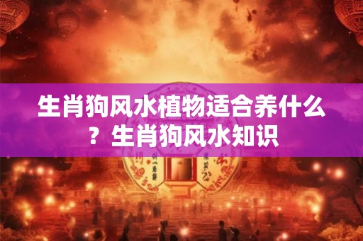 生肖狗风水植物适合养什么？生肖狗风水知识