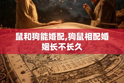 鼠和狗能婚配,狗鼠相配婚姻长不长久