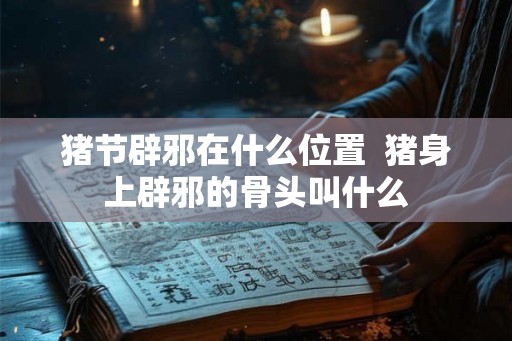 猪节辟邪在什么位置 猪身上辟邪的骨头叫什么 猪节辟邪在什么位置 猪身上辟邪的骨头叫什么