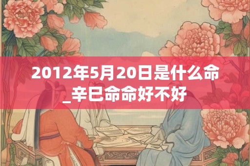 2012年5月20日是什么命_辛巳命命好不好 2012年5月20日是什么命_辛巳命命好不好