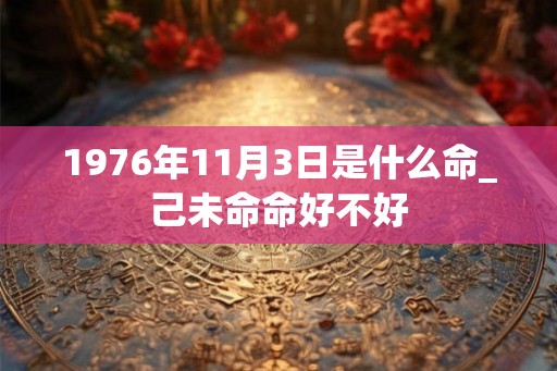 1976年11月3日是什么命_己未命命好不好