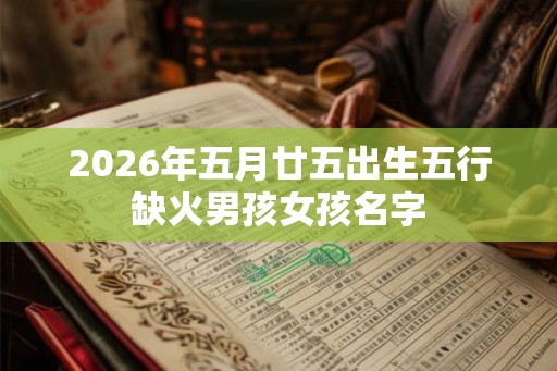 2026年五月廿五出生五行缺火男孩女孩名字