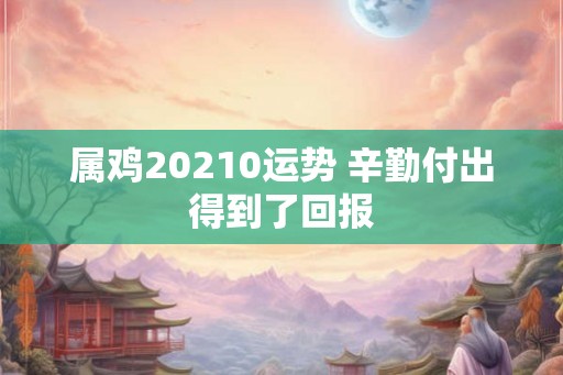 属鸡20210运势 辛勤付出得到了回报