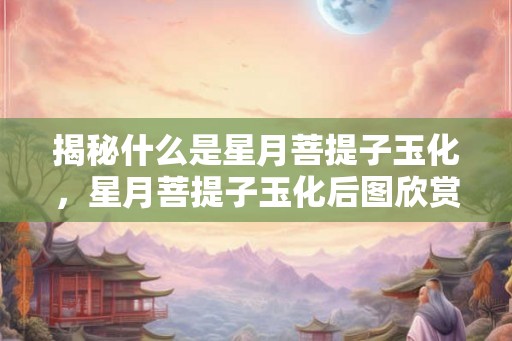 揭秘什么是星月菩提子玉化，星月菩提子玉化后图欣赏