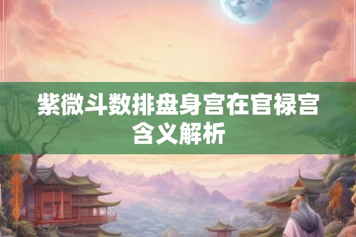 紫微斗数排盘身宫在官禄宫含义解析