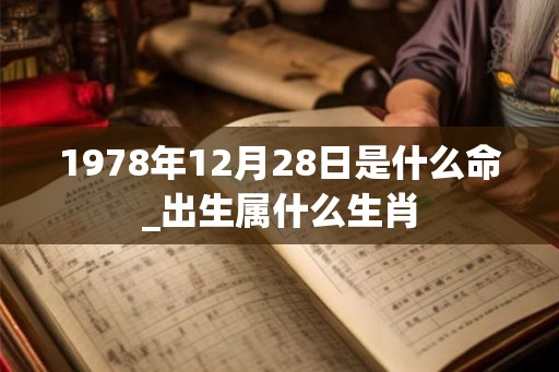 1978年12月28日是什么命_出生属什么生肖