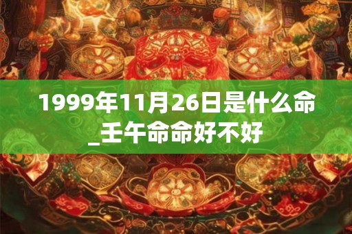 1999年11月26日是什么命_壬午命命好不好
