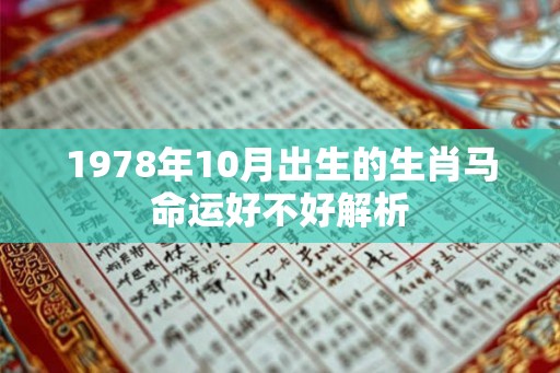 1978年10月出生的生肖马命运好不好解析