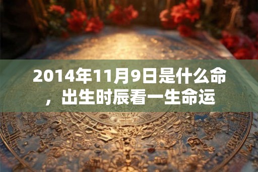 2014年11月9日是什么命，出生时辰看一生命运