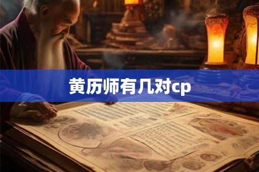 黄历师有几对cp
