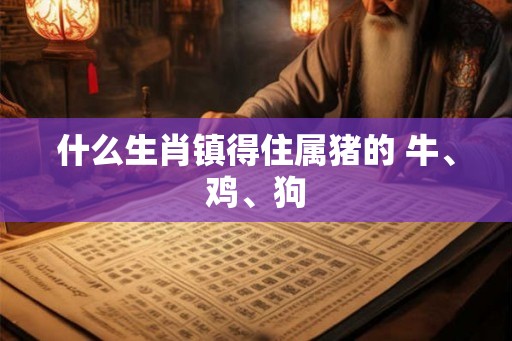 什么生肖镇得住属猪的 牛、鸡、狗