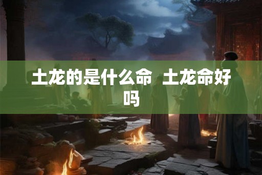 土龙的是什么命  土龙命好吗