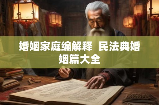 婚姻家庭编解释  民法典婚姻篇大全