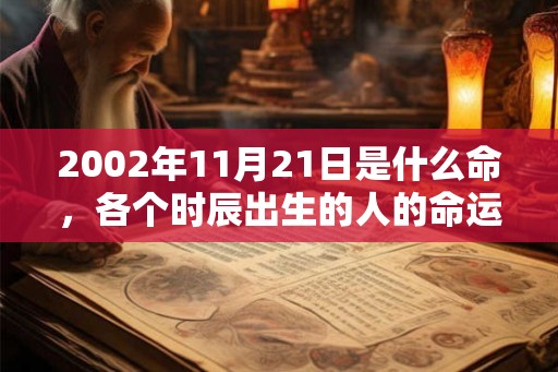 2002年11月21日是什么命，各个时辰出生的人的命运