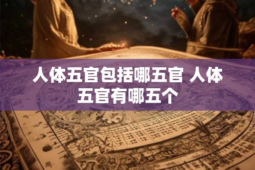 人体五官包括哪五官 人体五官有哪五个