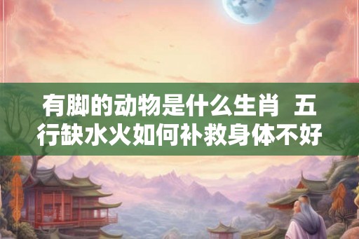 有脚的动物是什么生肖  五行缺水火如何补救身体不好