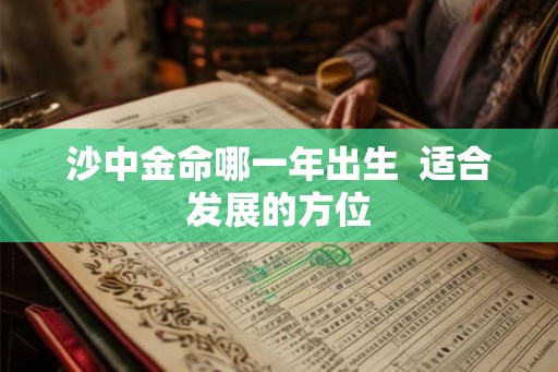 沙中金命哪一年出生  适合发展的方位