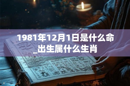 1981年12月1日是什么命_出生属什么生肖