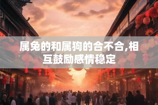 属兔的和属狗的合不合,相互鼓励感情稳定