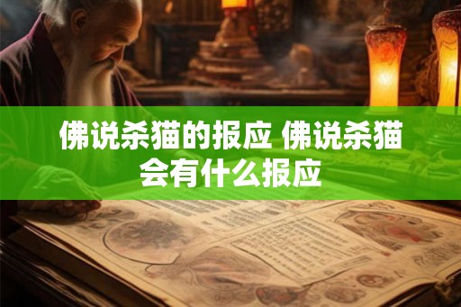 佛说杀猫的报应 佛说杀猫会有什么报应