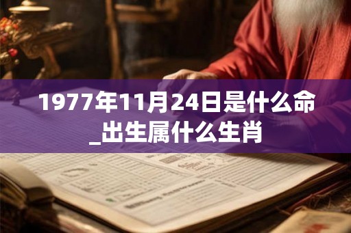 1977年11月24日是什么命_出生属什么生肖