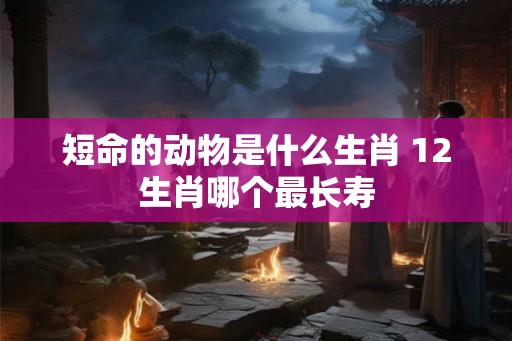 短命的动物是什么生肖 12生肖哪个最长寿