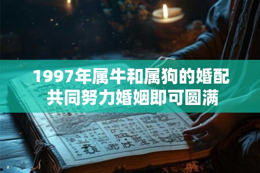 1997年属牛和属狗的婚配 共同努力婚姻即可圆满