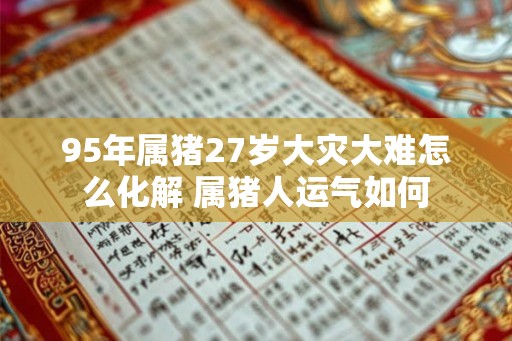 95年属猪27岁大灾大难怎么化解 属猪人运气如何 95年属猪27岁大灾大难怎么化解 属猪人运气如何