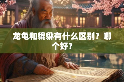 龙龟和貔貅有什么区别？哪个好？